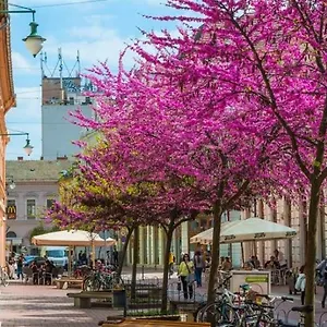 https://downtown-dream-apartmans.szeged-hotels.com